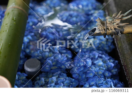 手水舎の柄杓で水を洗う4 116069311