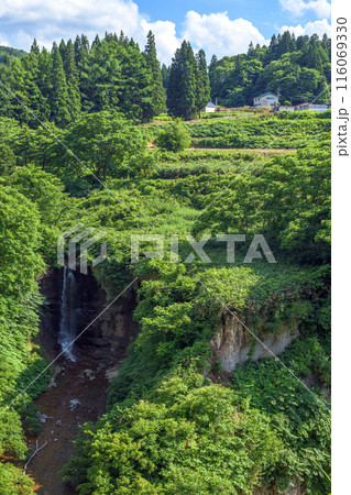 初夏の男滝 山形県 初夏の男滝 山形県 116069330