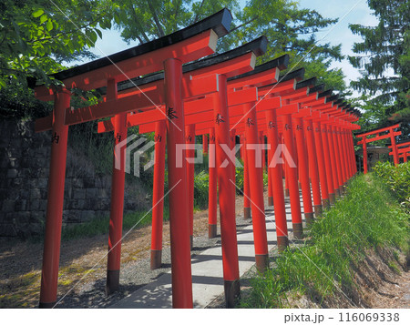 小樽 住吉神社 副参道の赤鳥居 小樽 住吉神社 副参道の赤鳥居 116069338
