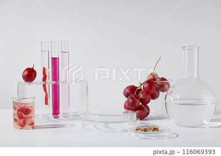Grape in laboratory theme photo for nature origin product promotional, which has grape seed extract ingredient. An empty glass platform placed next to a grape bunch and some lab tools contain liquid 116069393