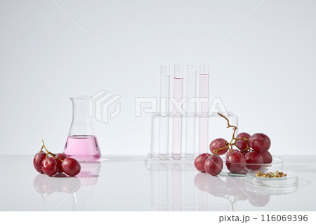 White background photo with laboratory layout and grape ingredient, grape seed essential oil contained in lab glassware such as erlenmeyer flask and test tube. Blank space in center for displaying White background photo with laboratory layout and grape ingredient, grape seed essential oil contained in lab glassware such as erlenmeyer flask and test tube. Blank space in center for displaying 116069396