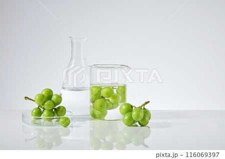 Minimalist style photo with green color grape standing out on white background, which contained in a few laboratory equipments consist of erlenmeyer flask, beaker and petri dish. Copy space for text 116069397