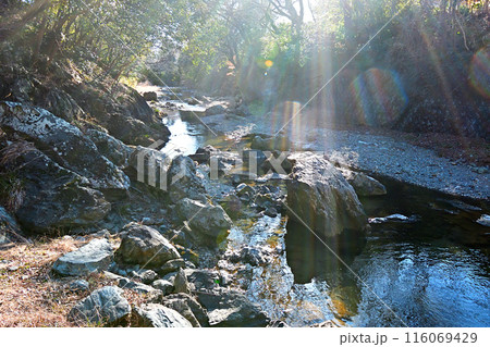 木漏れ日が射し込む都幾川の渓谷 116069429