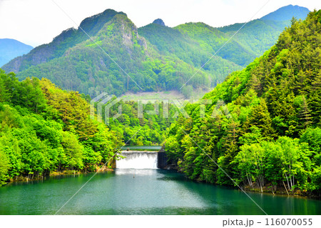 秋山砂防堰堤／あちばけ湖方面を望む(長野県川上村)【2024.6】 116070055