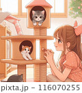 キャットタワーで遊んでる猫とそれを見守る少女 116070255