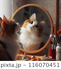 鏡をみて不思議そうに首をかしげる猫 116070451