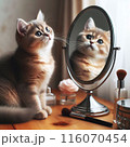 鏡をみて不思議そうに首をかしげる猫 116070454