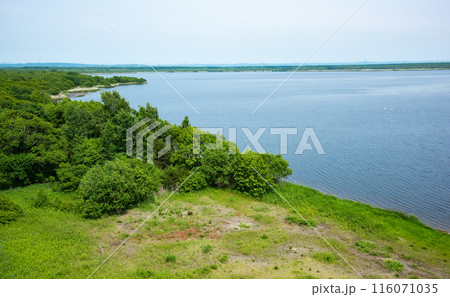 夏のウトナイ湖風景 夏のウトナイ湖風景 116071035