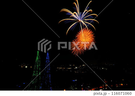 打ち上げ花火とイルミネーション 【相模原市津久井 11月】 打ち上げ花火とイルミネーション 【相模原市津久井 11月】 116071060