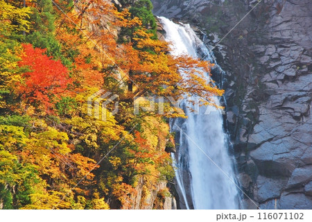 秋の立山 称名滝 秋の立山 称名滝 116071102