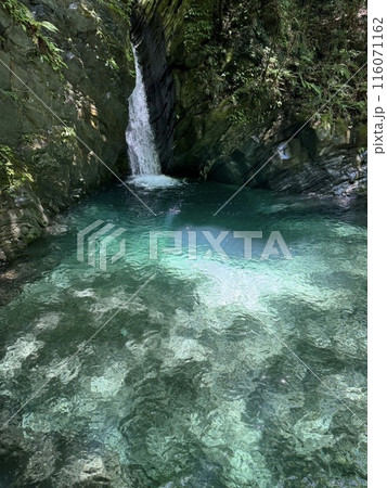 エメラルドグリーンに輝く清流 エメラルドグリーンに輝く清流 116071162