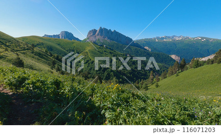 A breathtaking view of the Caucasus mountain range. Mount Chertovyi Vorota Devil's Gate . The photo shows snow-capped peaks, rugged terrain and untouched beauty of this high-mountain wilderness. A breathtaking view of the Caucasus mountain range. Mount Chertovyi Vorota Devil's Gate . The photo shows snow-capped peaks, rugged terrain and untouched beauty of this high-mountain wilderness. 116071203