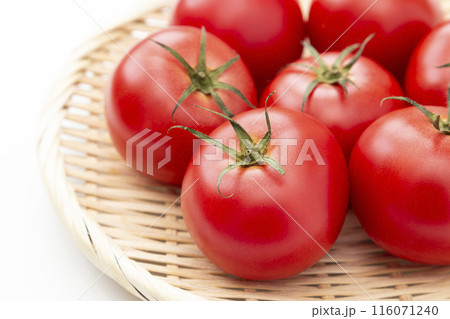 白背景にトマト 116071240