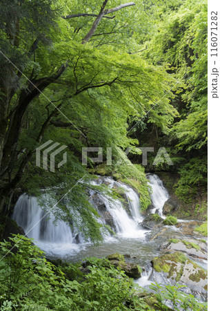 江竜田の滝 江竜田の滝 116071282