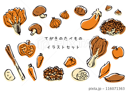 手描きの食べ物イラストセット 手描きの食べ物イラストセット 116071363