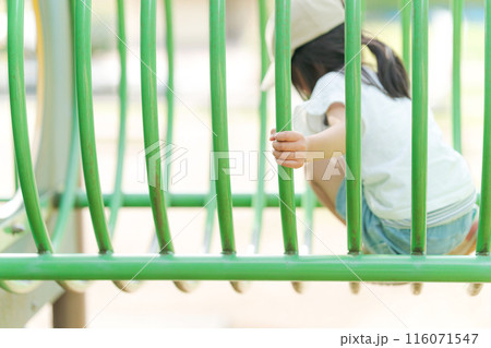 アスレチックで遊ぶ幼児 116071547