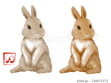 もふもふな毛並みがかわいいウサギ 2カラーのイラスト素材 [116071572