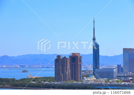 福岡タワーの見える景色 116071666