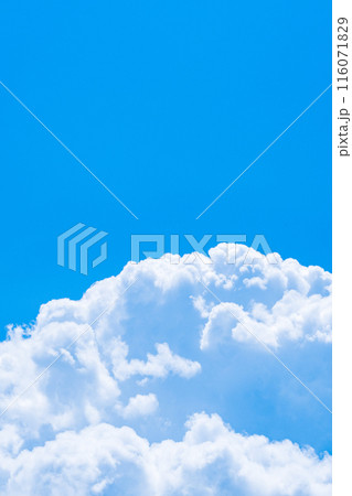 夏の青空 116071829