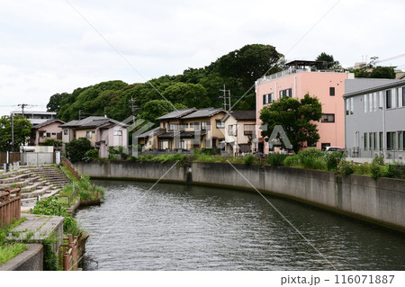 都川　千葉県千葉市 116071887