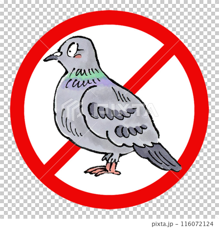 Pigeon prohibition sign 116072124