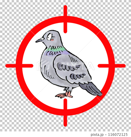 Pigeon target mark 116072125
