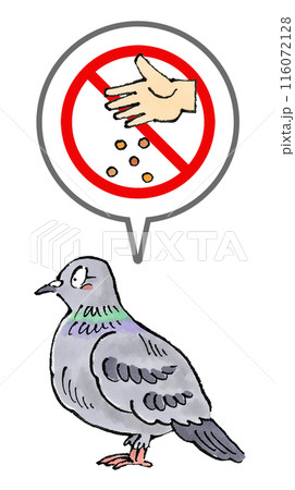 鳩に餌やり禁止マーク 116072128