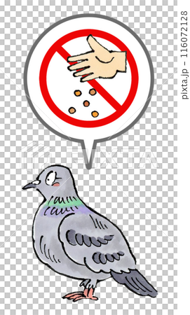 No feeding pigeons sign 116072128