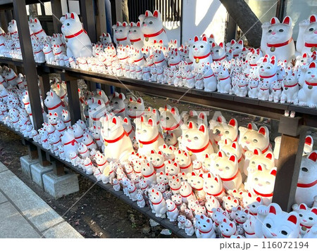 豪徳寺の招き猫 116072194