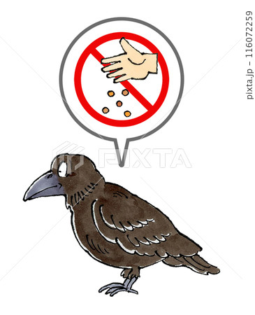 カラスに餌やり禁止マーク カラスに餌やり禁止マーク 116072259