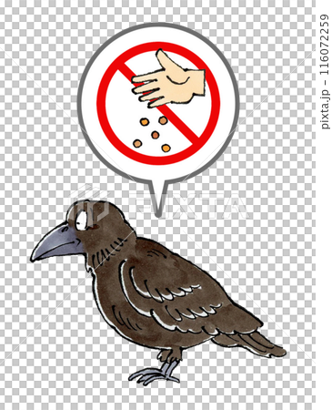 カラスに餌やり禁止マーク カラスに餌やり禁止マーク 116072259