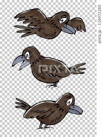 3隻微笑的烏鴉 116072260