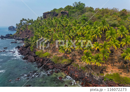 Aerial top view on tropical beach with green palm trees under sunlight Drone view in Goa 116072273