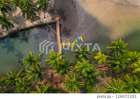 Aerial top view on tropical beach with green palm trees under sunlight Drone view in Goa Aerial top view on tropical beach with green palm trees under sunlight Drone view in Goa 116072283