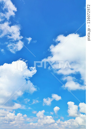 夏の青空と雲 夏の青空と雲 116072972