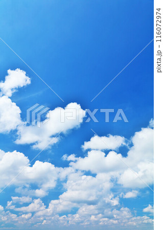 夏の青空と雲 116072974