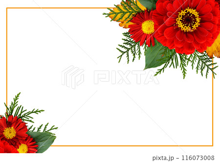 Autumn corner composithions with zinnia, chrysanthemum flowers and seasonal leaves with ginger frame isolated on white 116073008