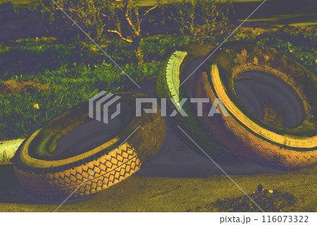 Evening.Old car tires used to create flower beds, street decor, fence Evening.Old car tires used to create flower beds, street decor, fence 116073322