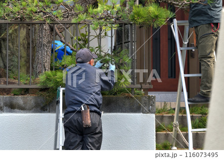 シニア植木職人　居宅の選定作業　 116073495