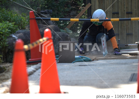 造園業　庭園のリフォーム工事 116073503