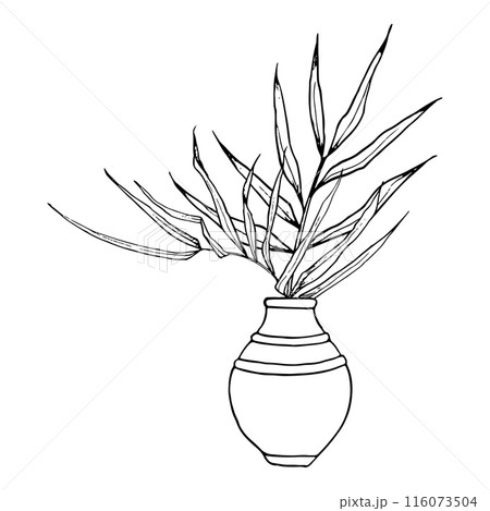 Bamboo branches or palm leaves in vintage vase simple line vector illustration for indoor interior decoration. Black and white drawing of Asian home plant 116073504