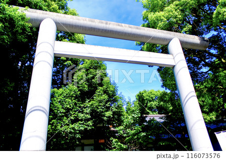 【東京】初夏の阿佐ヶ谷神明宮 近くから見上げる西大鳥居 【東京】初夏の阿佐ヶ谷神明宮 近くから見上げる西大鳥居 116073576
