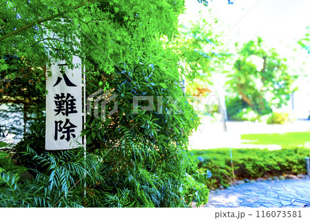 【東京】初夏の阿佐ヶ谷神明宮 瑞祥門(神門)前の唯一八難除の幟旗 【東京】初夏の阿佐ヶ谷神明宮 瑞祥門(神門)前の唯一八難除の幟旗 116073581