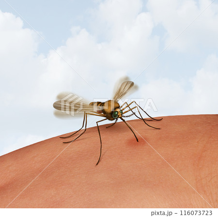 Dengue Fever Dengue Fever 116073723