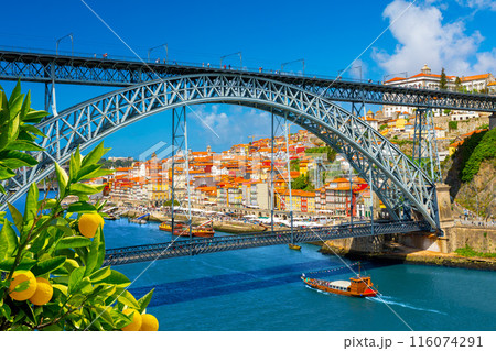 Panoramic view of the city of Porto on a beautiful summer day. Porto, Portugal 116074291
