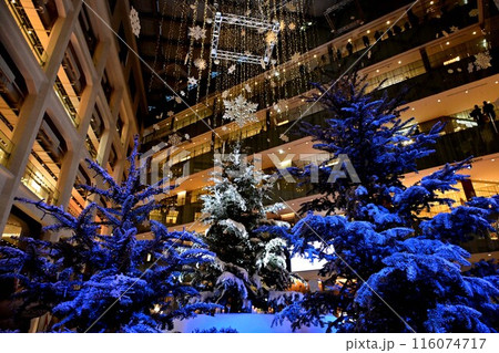 WHITE KITTE クリスマスイルミネーション 116074717