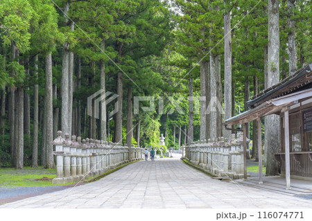 南無大師遍照金剛石碑(奥之院中の橋参道入口) 南無大師遍照金剛石碑(奥之院中の橋参道入口) 116074771