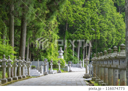 南無大師遍照金剛石碑(奥之院中の橋参道入口) 南無大師遍照金剛石碑(奥之院中の橋参道入口) 116074773