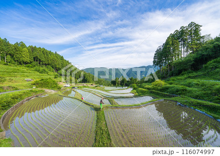 【徳島】上勝町の景観 【徳島】上勝町の景観 116074997