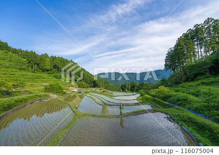 【徳島】上勝町の景観 116075004